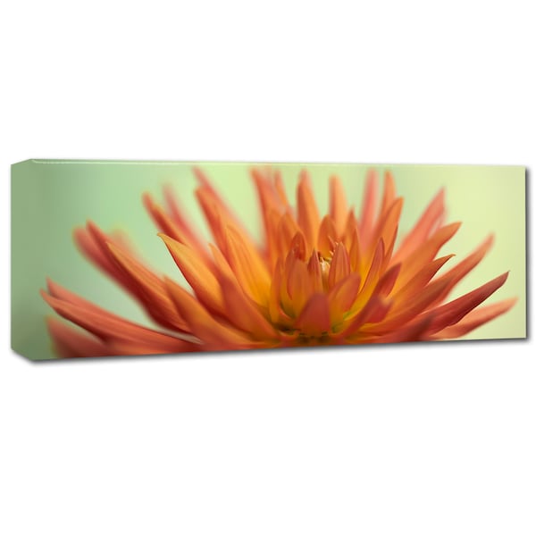 Cora Niele 'Orange Dahlia Scape' Canvas Art,8x24